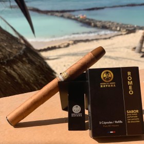 XO HAVANA SIGARO DAISY
