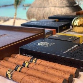 XO HAVANA SIGARO VENECIA