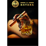 XO HAVANA SIGARO RETTO